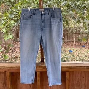 Everlane Women's The Cheeky Jean Blue Size 34 Short